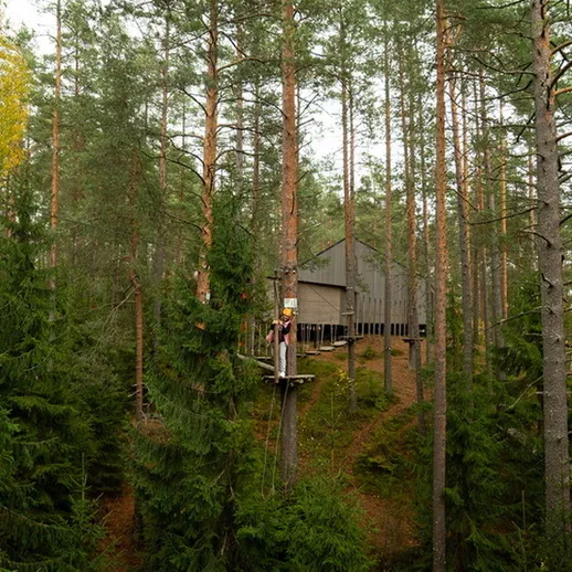 Деревянный дом на холме среди леса, окруженный высокими соснами в осенний день