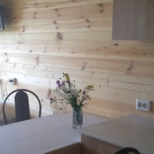 Просторное и уютное помещение с деревянной отделкой и современной техникой