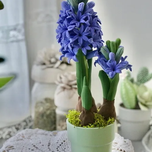 Нежный цветок гиацинта в горшке на столе с декоративными растениями и зеленью