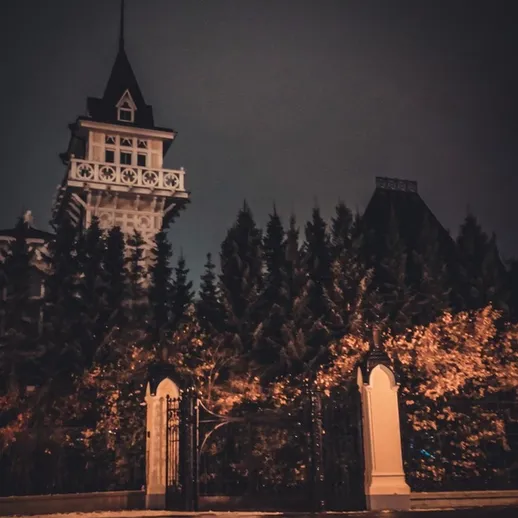 Ночной пейзаж старинного здания с зубчатыми крышами и густыми деревьями на фоне темного неба