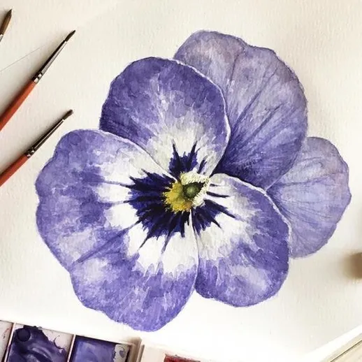 Синяя фиалка, нарисованная акварелью на белом фоне с инструментами для рисования