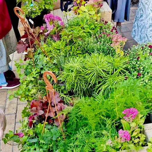 Овощной рынок с разнообразными растениями и зелеными травами в яркий день