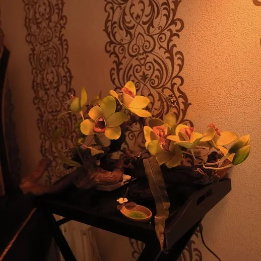 Уютный уголок с зелеными растениями и декором в комнате вечером