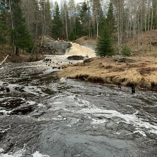 Лесной поток с водопадом среди осенней листвы и серого неба в заброшенном районе