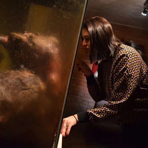 Женщина наблюдает за гипопотамом в необычном аквариуме в зоопарке