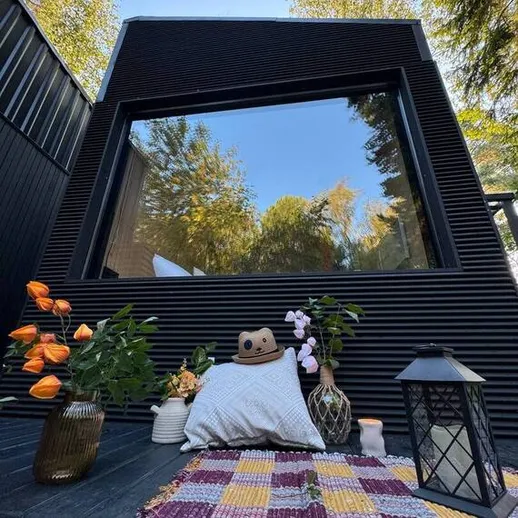 Уютное место для отдыха на природе с растениями и фонарем в солнечный день