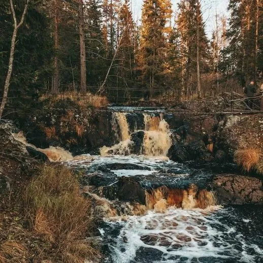 Водопад среди осеннего леса в России, тихая река и камни окружены желтыми листьями деревьев