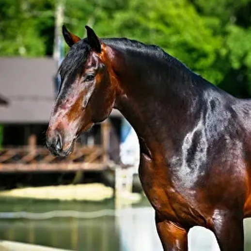 Конь на фоне озера и загородного дома в солнечный день