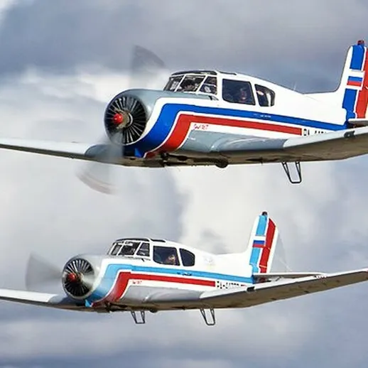 Два спортивных самолета выполняют маневры в небе над живописным ландшафтом на фоне облаков