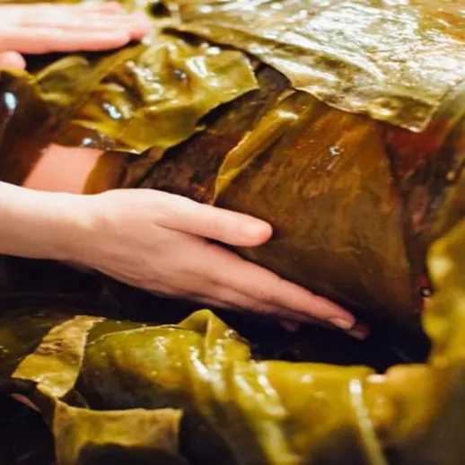 Обработка морских водорослей на пляже в начале дня