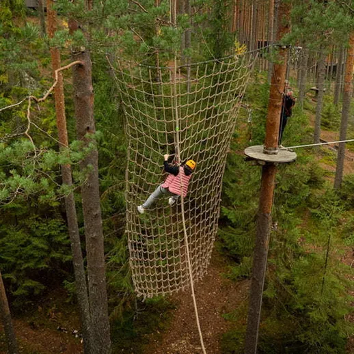 Подвесная сеть в лесу, где дети наслаждаются активным отдыхом на высоте между деревьями в солнечный день