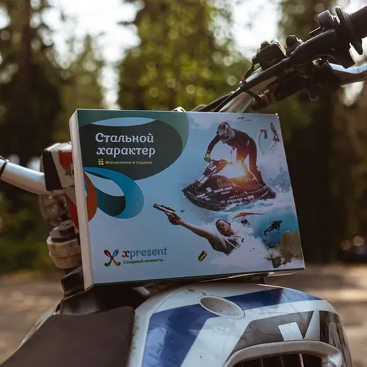 Книга о стальном характере на мотоцикле в лесу, под солнечными лучами, с зеленым окружением