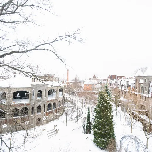 Зима в городе: снежный пейзаж с заснеженными зданиями и деревьями в тихом районе