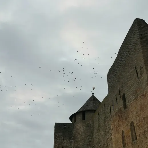 Птицы в небе над старинной крепостью в сером небе в холодный осенний день
