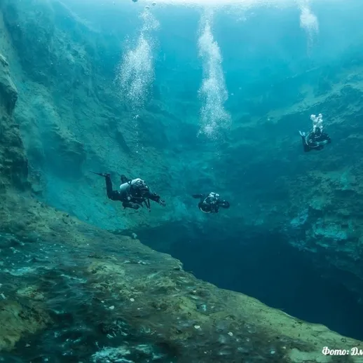 Подводные исследователи изучают морскую жизнь в глубоких водах, погружение произошло в чистых водах Карибского моря