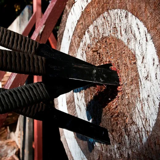 Метания ножей в мишень на открытом воздухе, осенний день, мастерская по фехтованию