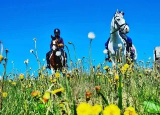 Конная прогулка по территории парка Русь