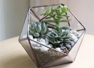 Мастер-класс Флорариум