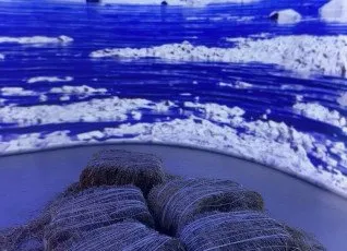 Выставка Большая страна и два мастер класса