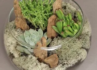 Мастер-класс ФЛОРАРИУМ