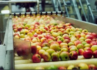 Экскурсия на сидрерию в составе группы