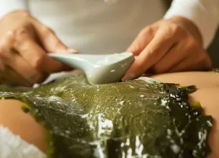 СПА программы Русалка и Русалка лайт