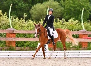 Занятия по верховой езде