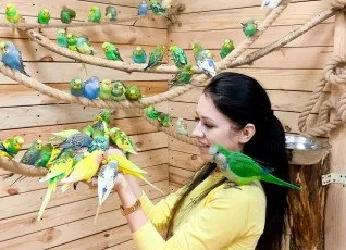 Галерея птиц Попугайня