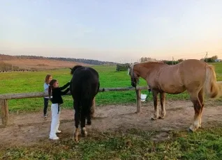 Конная прогулка для детей