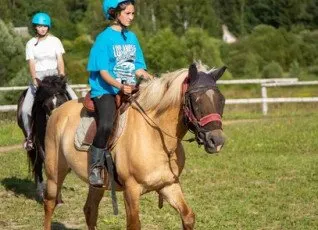 Обучение верховой езде