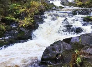 Карельские выходные ЛАЙТ