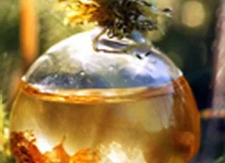 Мастер-класс Духи ручной работы