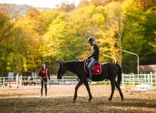 Обучение верховой езде на плацу