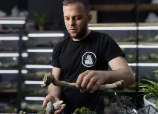 Мастер класс Флорариум 