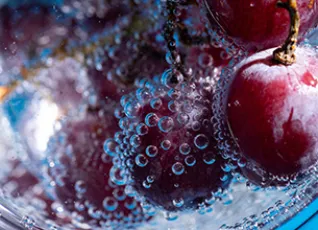 СПА-программа Винная симфония