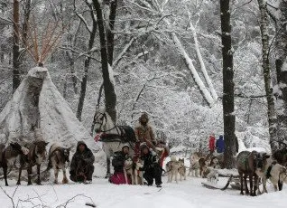 Экскурсия Северные олени и ездовые собаки