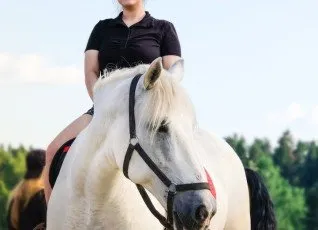 Мастер класс Подготовка лошади