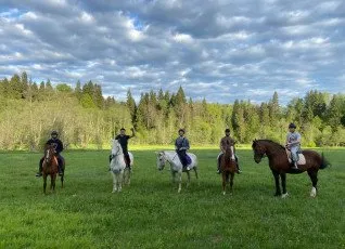 Конные прогулки