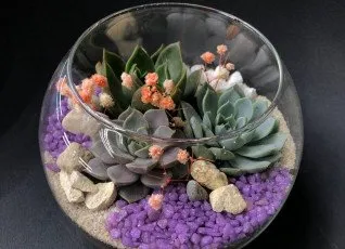 Мастер класс создание флорариума 