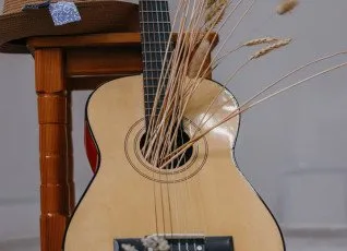 Музыкальные инструменты /вокал /актерское мастерство онлайн