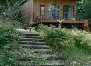 Лесной восход