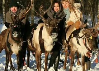 Прогулка в оленьей упряжке