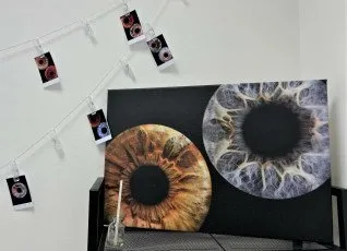 Фото радужки на большом формате