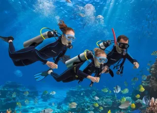 Индивидуальный курс дайвинга PADI Open Water Diver