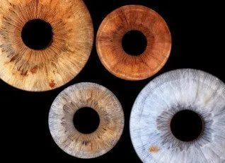 Семейное фото радужки глаз в Балашихе