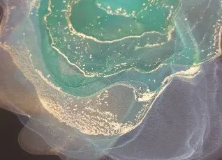 Мастер класс Алкогольные чернила