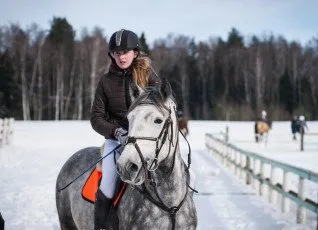 Индивидуальное занятие по верховой езде