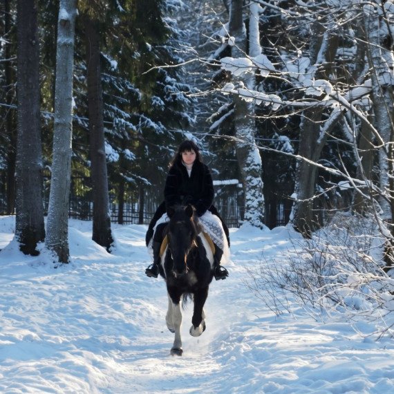 Индивидуальная конная прогулка - изображение 4