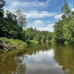 Сплав на SUP-бордах по реке Киржач