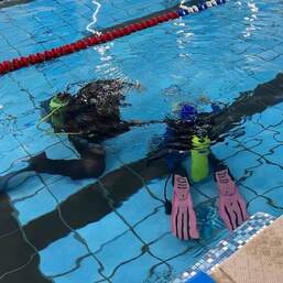 Пробное погружение Курс PADI Discover Scuba Diving